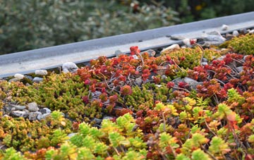 the cost of Pye Hill green roof installation