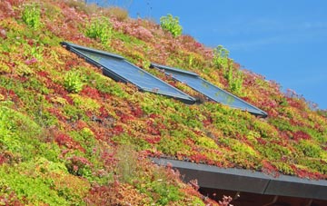 Pye Hill living roof systems