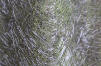 Pye Hill fibreglass roof work